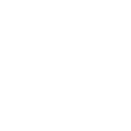 n-icon